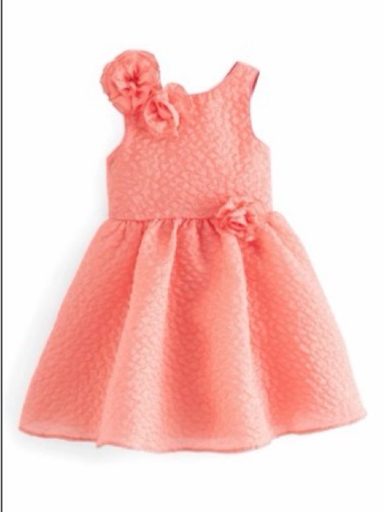 Ted Baker Other - Ted Baker Coral Floral Rosette Textured Party Dress